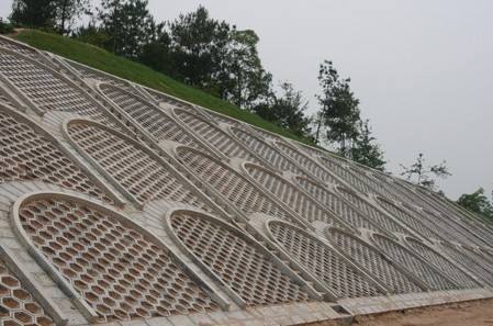 路沿石登顶体育巅峰